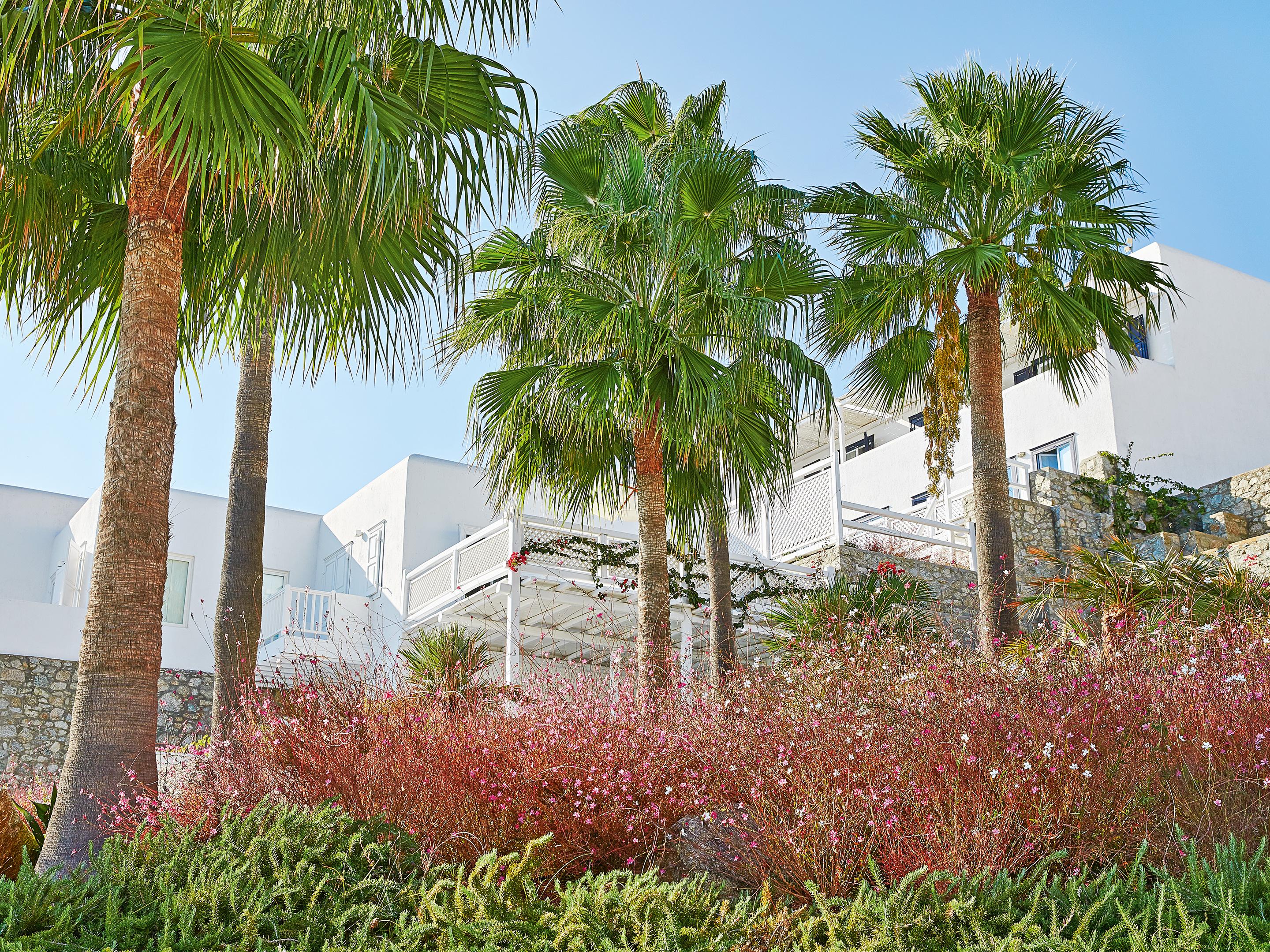 Mykonos Blu, A Grecotel Resort To Live Psarou  Luaran gambar